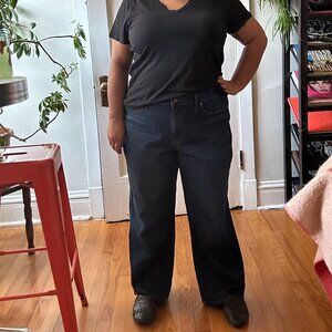 Madewell The Plus Perfect Vintage Wide Leg Jean - Size 18